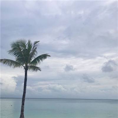 逍遥西游果盘游戏下载