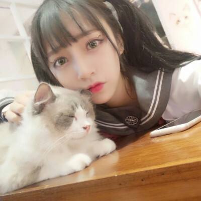 撸石传说手机版下载
